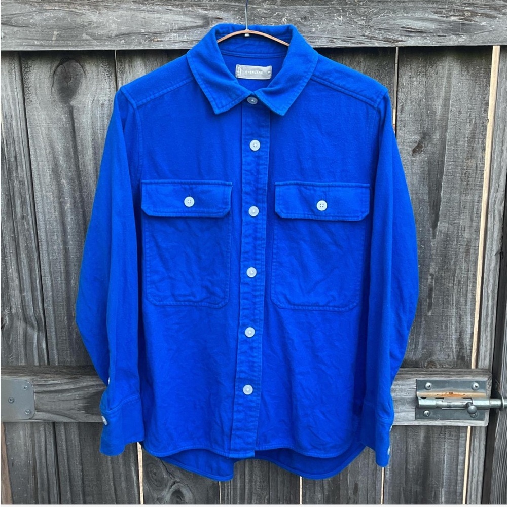 Everlane flannel boyfriend fit in blue